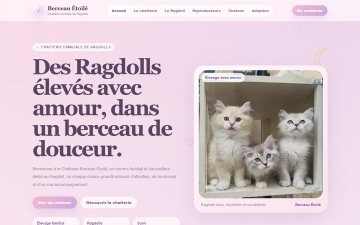 Le site Berceau Étoilé sur ordinateur