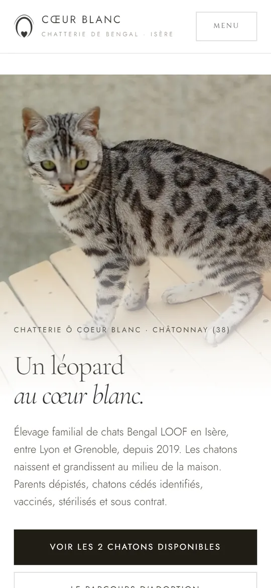 Cœur Blanc sur téléphone