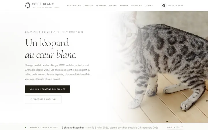 Le site Cœur Blanc sur ordinateur