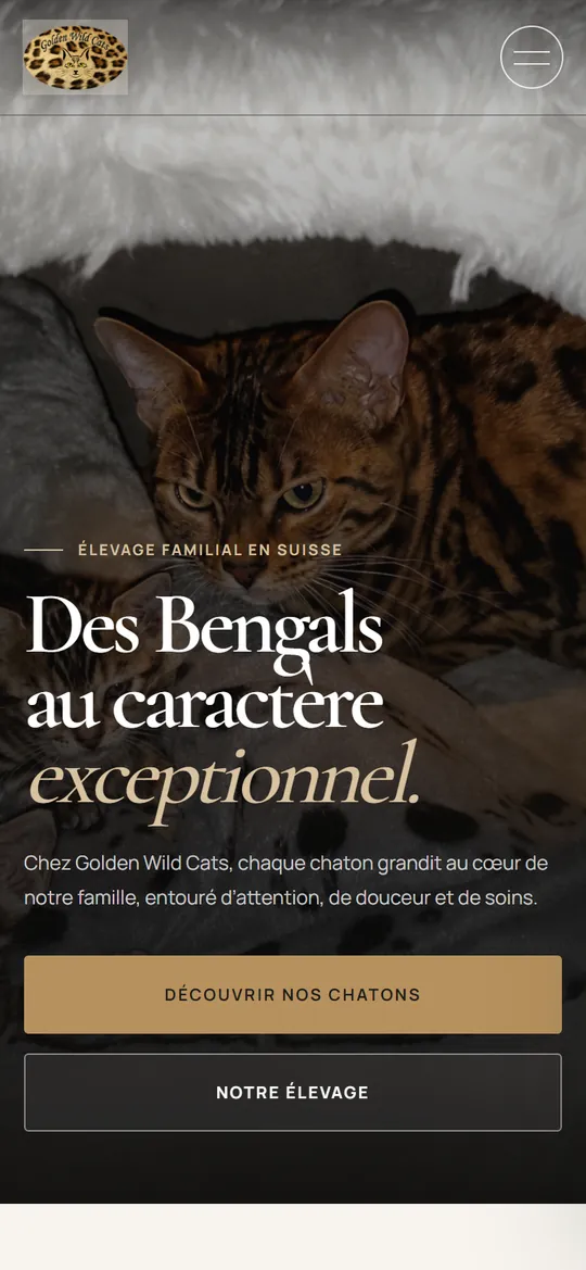 Le site Golden Wild Cats sur téléphone