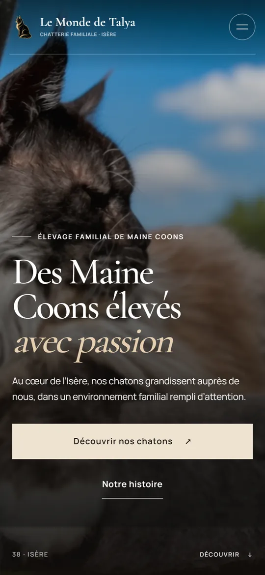 Le Monde de Talya sur téléphone