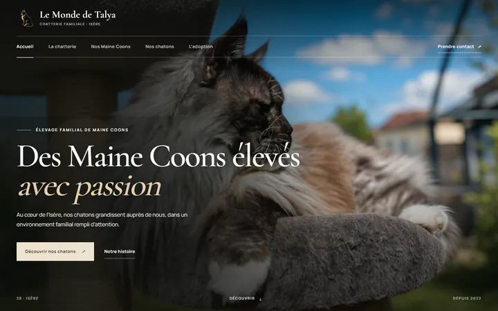 Le site Le Monde de Talya sur ordinateur